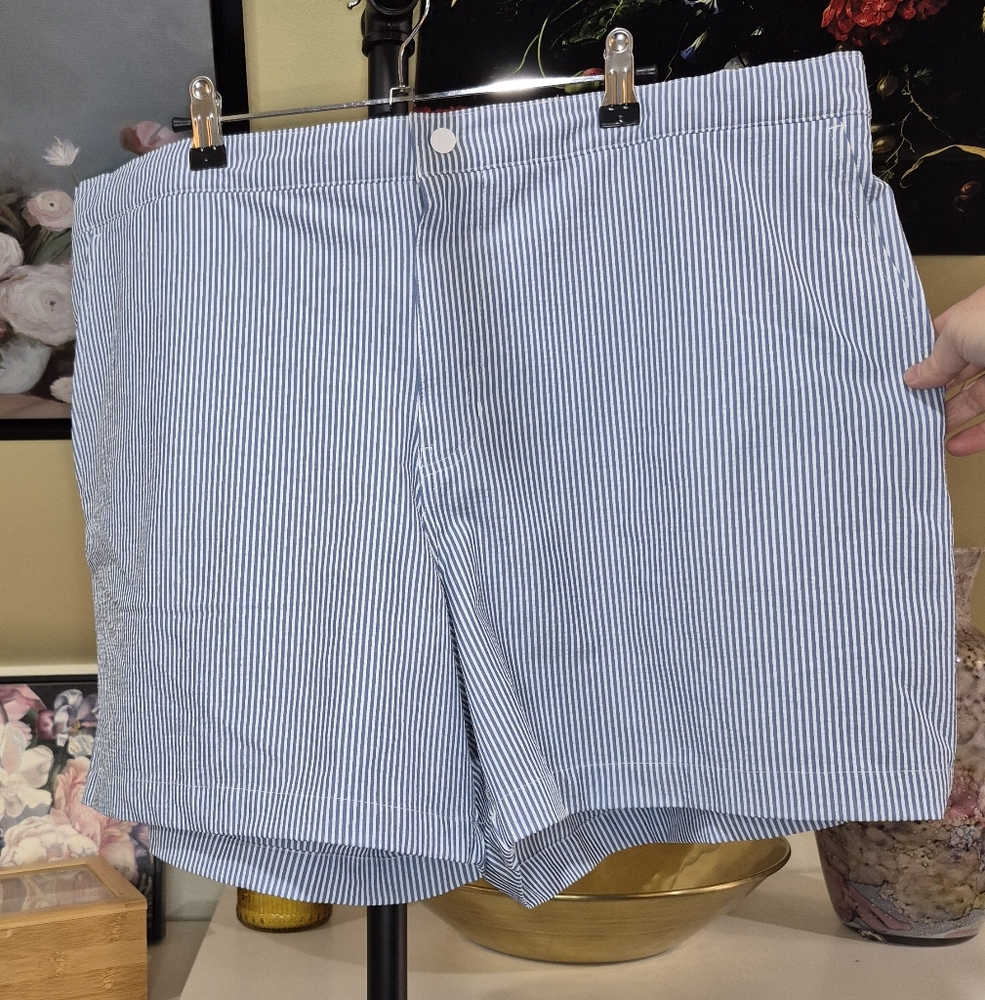 Abercrombie & Fitch Blue and White Pinstriped Hybrid Shorts